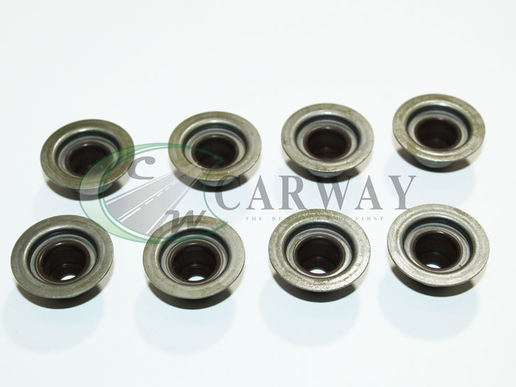 Сальники клапанов Chery Amulet 8шт. ASIAN 480-1007020