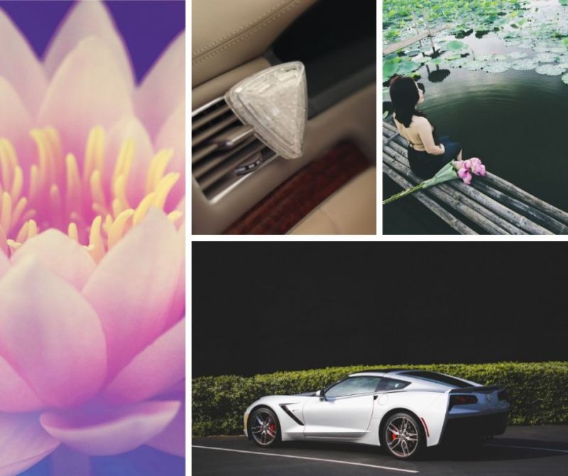 Освежитель воздуха Лотос 15 гр Diamo Lotus V88LOT K2 фото 2
